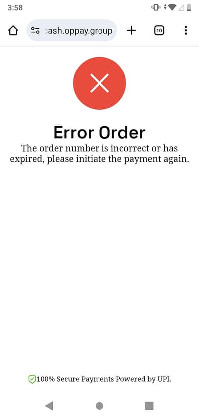 aseel shamo white color 4 PCs ha