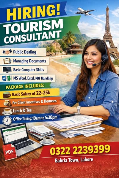 Travel Consultant