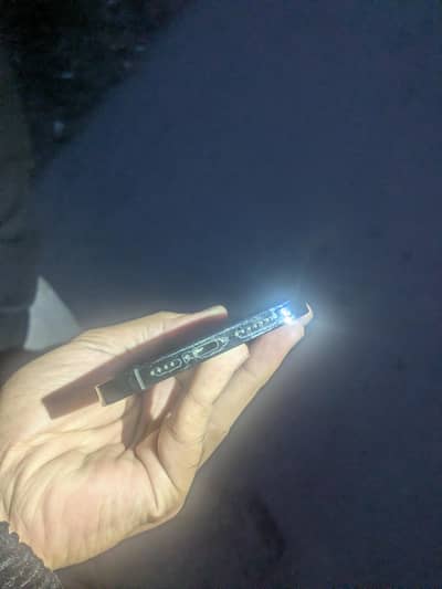 iphone 12 pro max pta approved