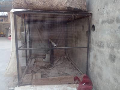 hen cage for sale