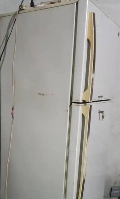 PEL Full size Frige 2 door