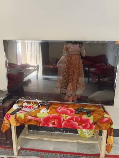 tcl google tv 55inch