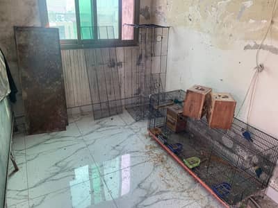 Cage pinjra for sale