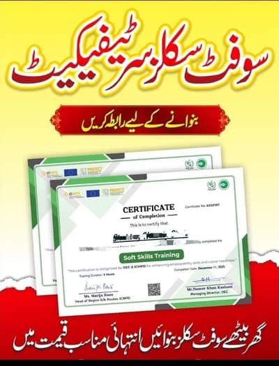 soft skill certificate