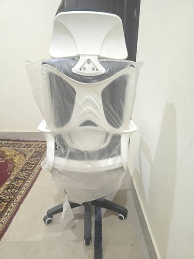 Study and office chair