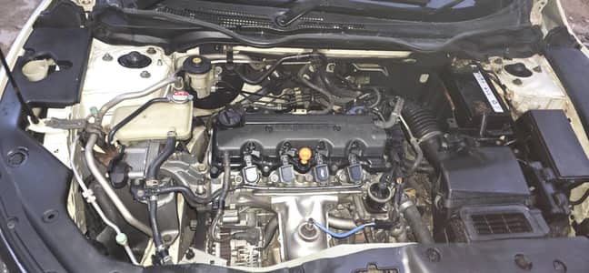 only 1 fiendr touchup