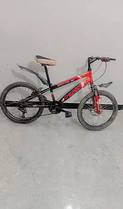 Chicago Cycle Size '20'