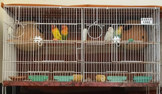 2 Pair Confirm Breeder