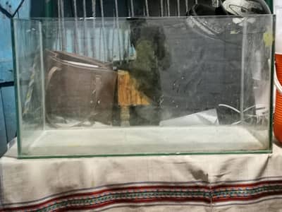 Fish aquarium for sale