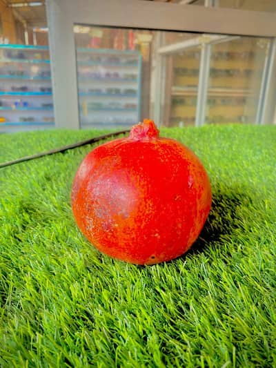 Kisi ko driver chahie to mujhse rabta karo