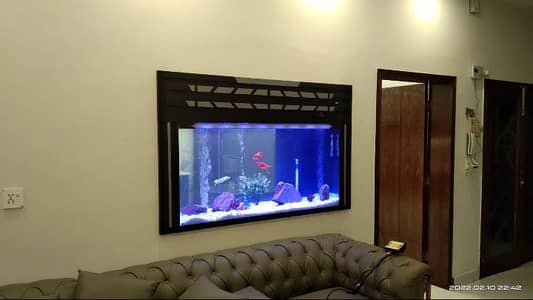 Aquariums/Aquariums For sale/Fish Aquariums/Fishes for sale