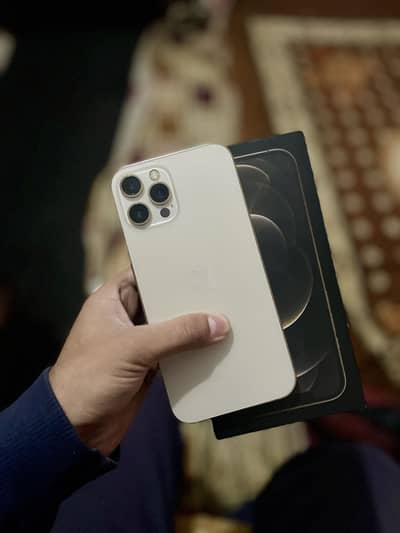 Iphone 12 Pro Max 256gb