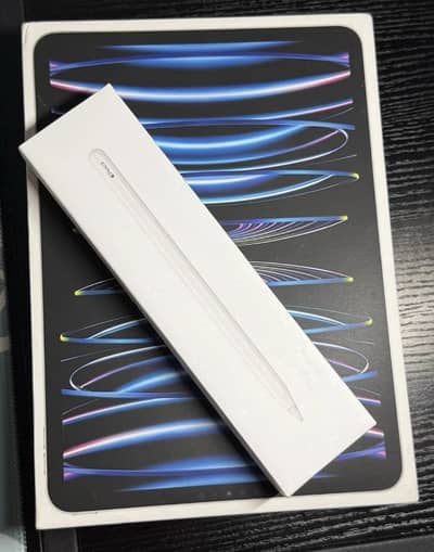 Ipad Pro M2 Chip Space Gary Full Box 128GB