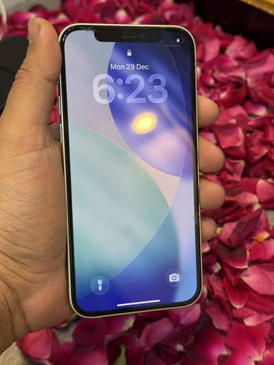 iphone 12 pta proved back glass break