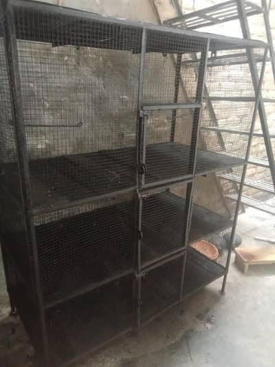birds cage