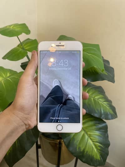 Iphone 7 Plus for sale