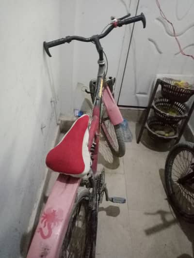 Back gumper original Japan company TRIGON