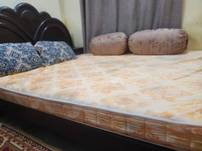 Daimond supreme Molty Foam