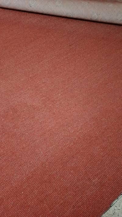 12/15 carpet clean saaf carpet for alae