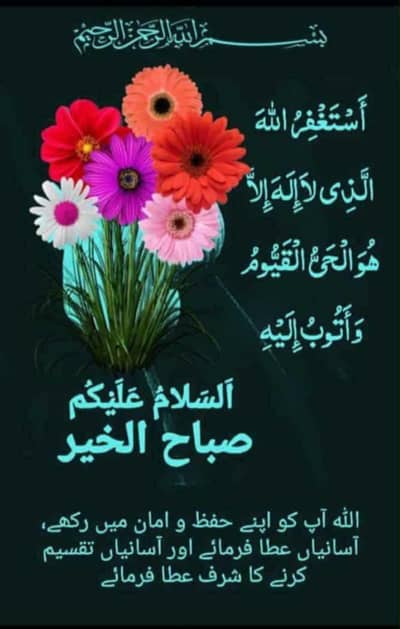 totally jenwan 03016167868