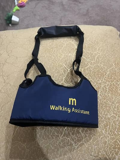 Walking assistant