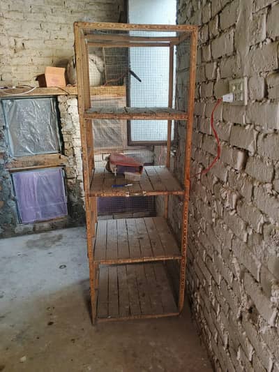 cage for sale cntct num 03361155620