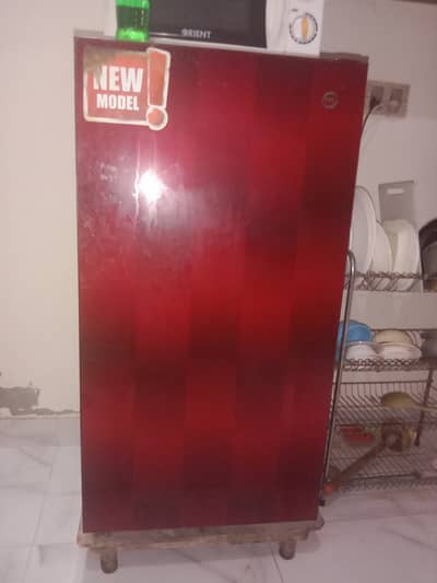 PEL Single door fridge with freezer