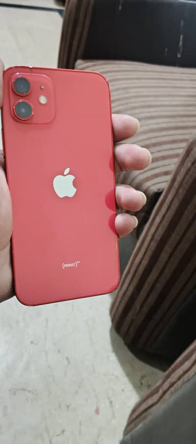 IPhone 12 panel change bki all ok