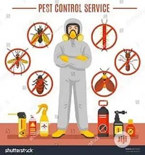 Professional Pest Control Services – 100% Guaranteed Results!