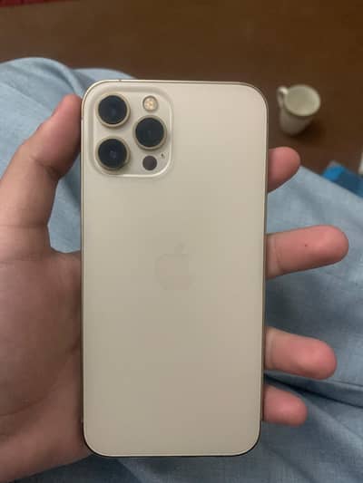iPhone 12 Pro Max | WATERPACK