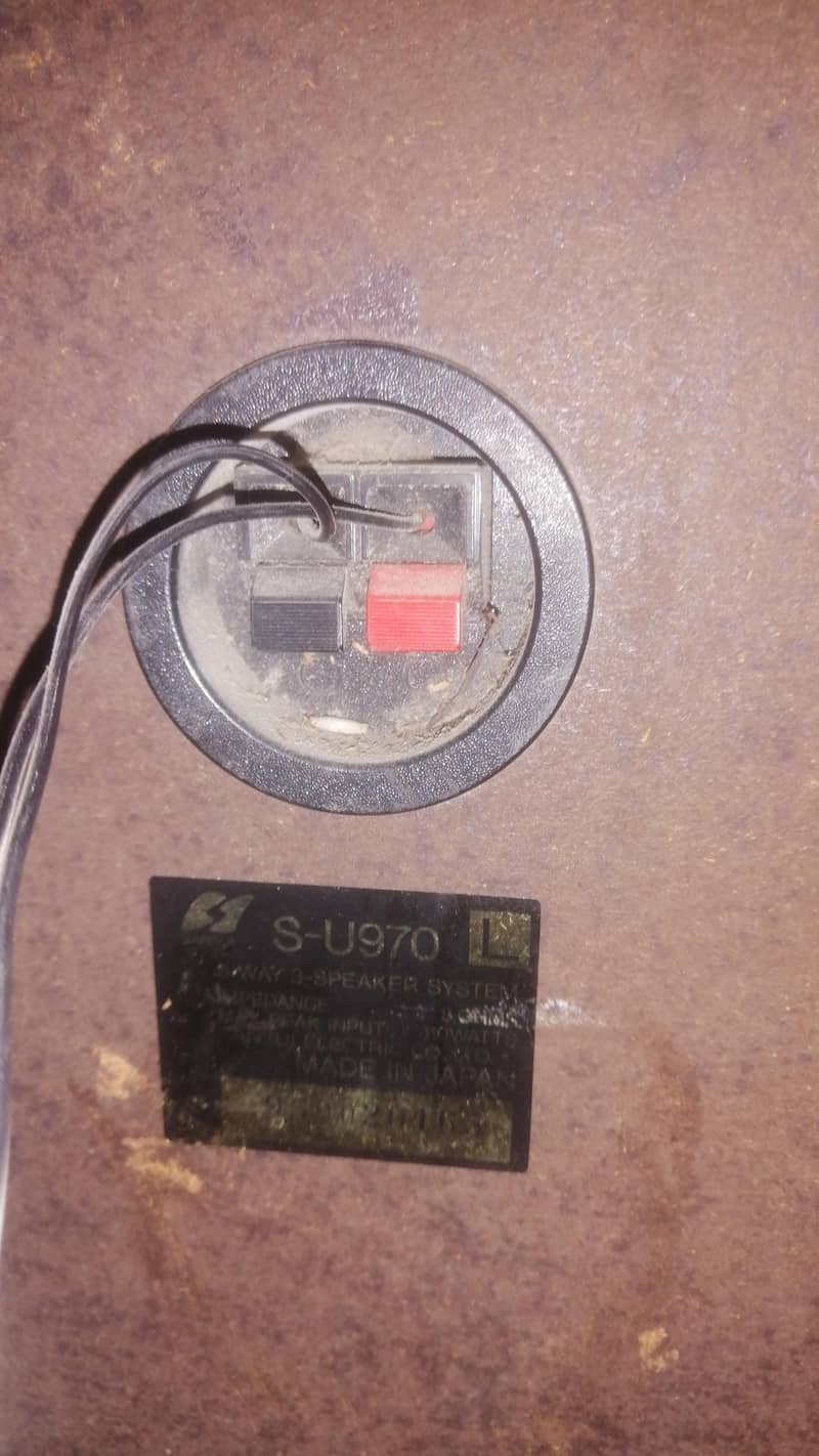 audionic buffer and speaker 3