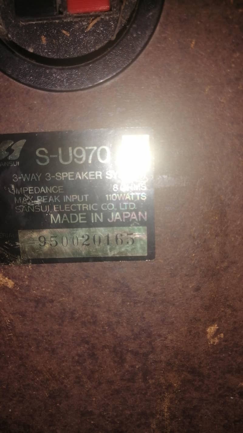 audionic buffer and speaker 4