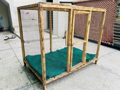 Wooden cages for hens aseel
