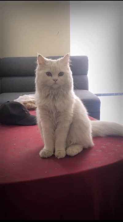 We are moving abroad that's why selling