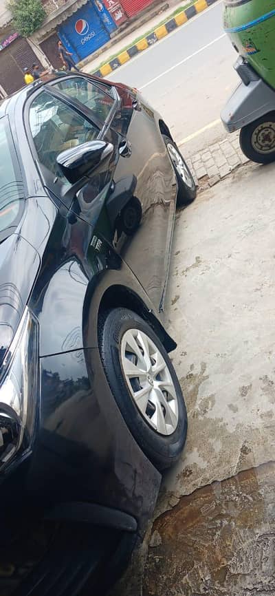 2016 model number 2017