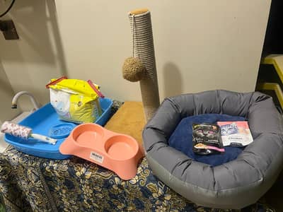 Cat accessories whole package for sale in reasonable amount