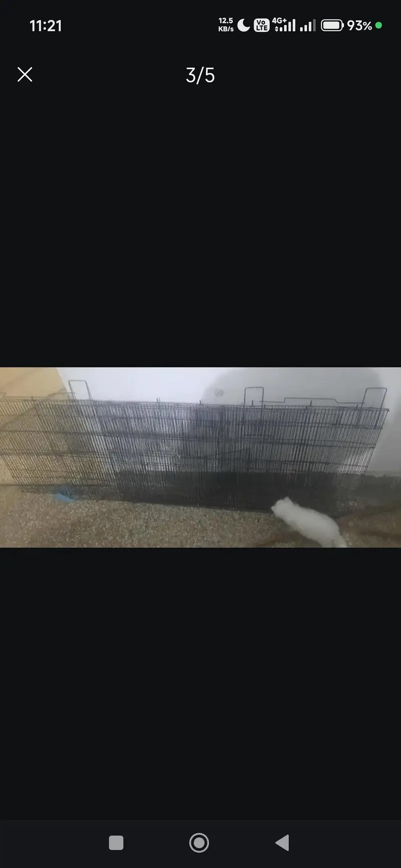 Raw Cage — photo 4