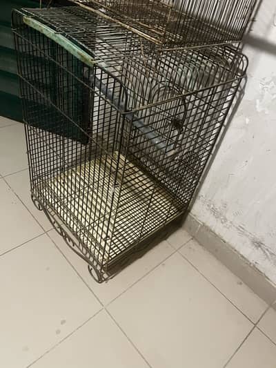 Bird or cat cage