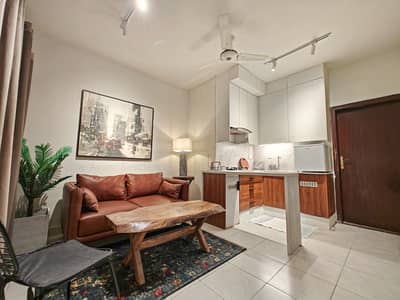 F 11 furnished 1bed apartment for rent pics