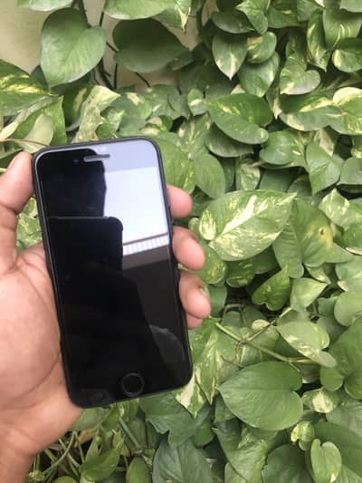 Iphone se 2020 available for sale