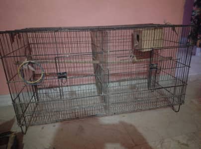 parrot cage