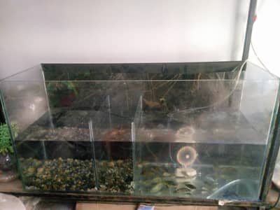 Fish aquarium 3ft