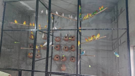 for sale all in one time