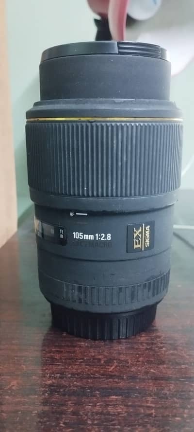 Canon Body D60 with Sigma Macro lens 105mm and Ring flash