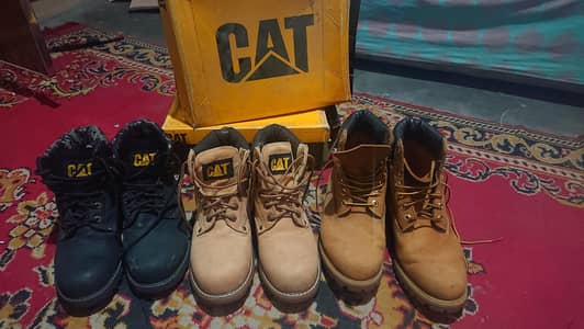 look like new cats brand