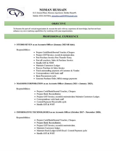 Accounts Executive/Accountant