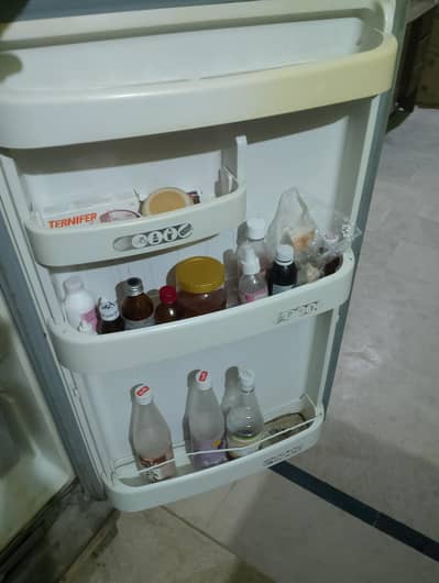 Full Size Refrigerator