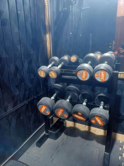 Dumbbells Set With Stand - Lean Fitness