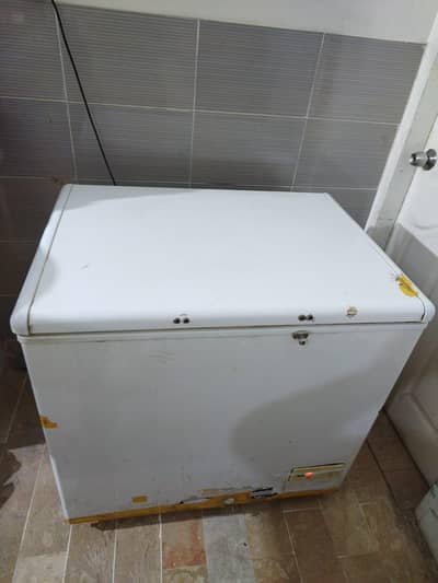 haier single door d freezer