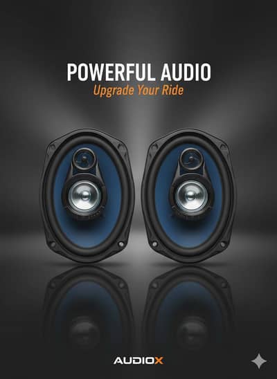 Car 10 Inch 2 Used Speakera